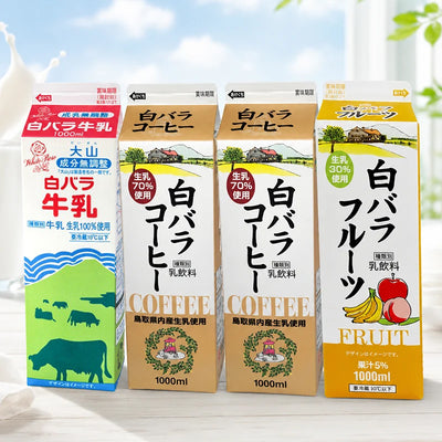 バラエティセット
